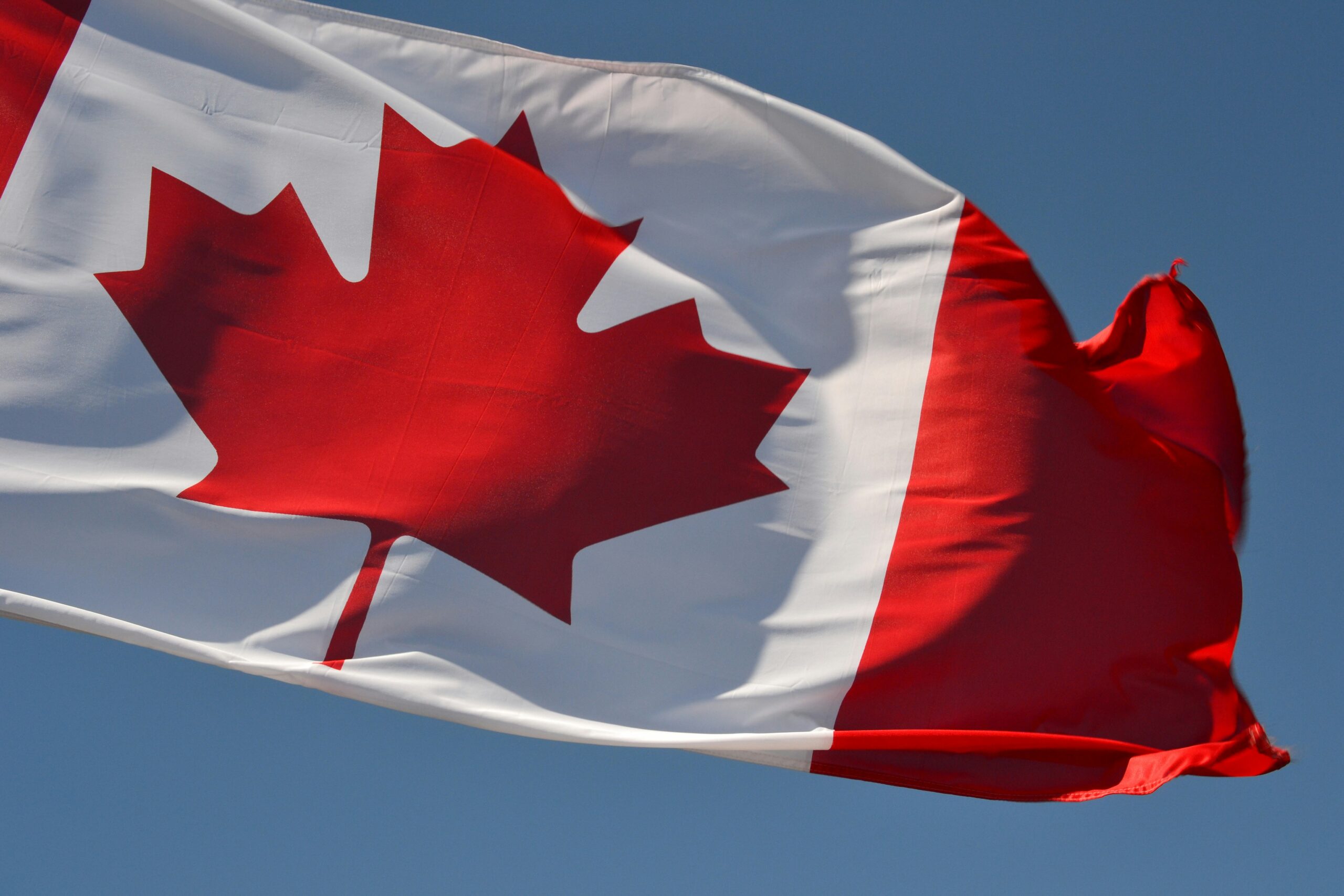 A Guide to Canadian Coin Collecting